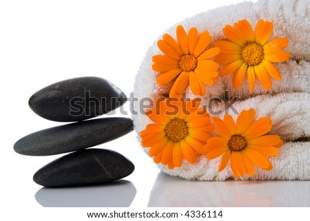 spa objects on white background