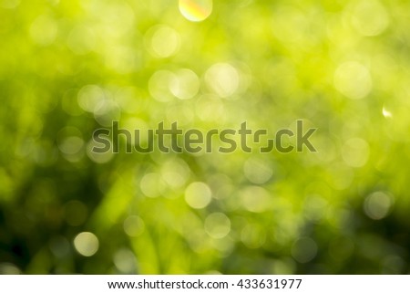 abstract Background bokeh blurred colors.