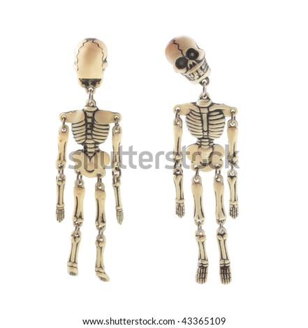 Human Skeleton. Isolated white. Front and back view.