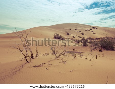 desert dune