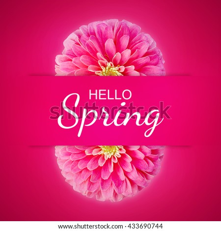 Hello Spring Pink Flowers Text Background, Poster or Greeting Card Design.