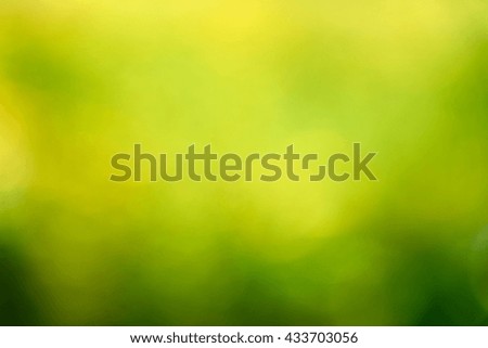 Nature photos, blur effect. Summer background. Flowers. Spring background. Nature background. Yellow flowers.                               