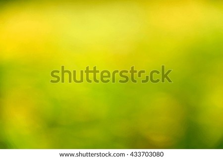 Nature photos, blur effect. Summer background. Flowers. Spring background. Nature background. Yellow flowers.                               