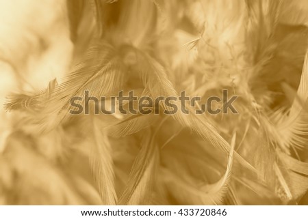 Brown vintage color trends chicken feather texture background