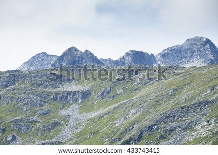 European Alps, Summer, Mountain, Environment