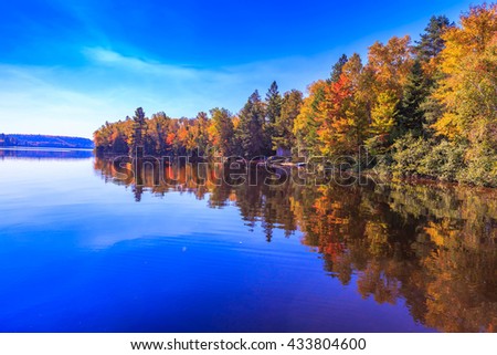 Fall trees with reflection