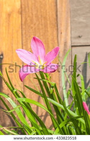 Flower side wood wall 