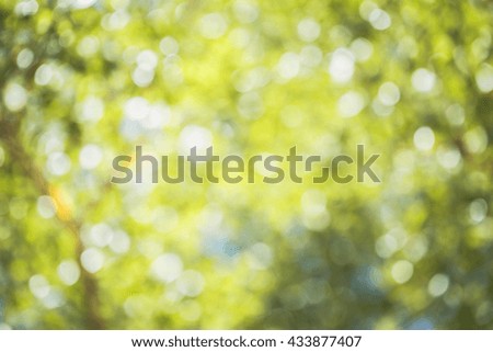 Fresh healthy green bokeh background with nature abstract