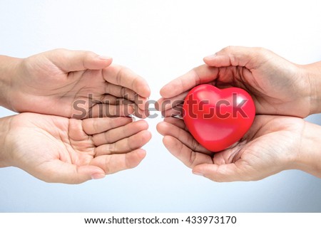 Heart in the hands isolated