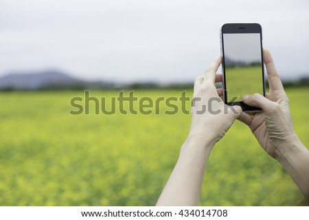 Holding arm and finger press on mobile phone for shooting photo of yellow flower field in Jeju Island, Korean.