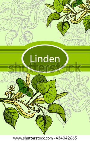 Linden. Tea design for package. 