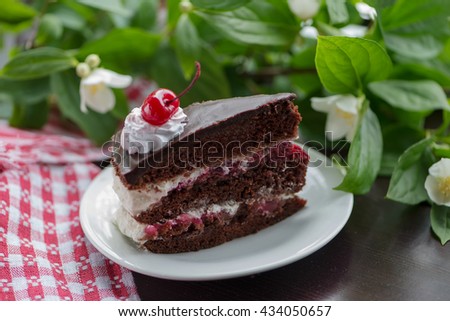 black forest cake on the background of jasmine branches