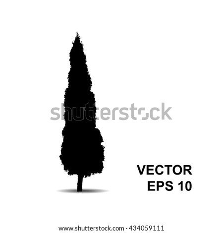 Thuja. Black tree silhouette isolated on white background. Vector icon.