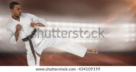 Fighter performing karate stance against composite image of playing field indoor