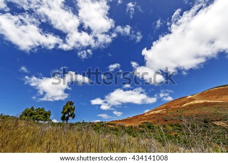 Hiking trail / path through the California Central Coast foothills, with blue skies and puffy white clouds, perfect for resting, picnicking, hiking, biking, & walking. Photographed near Avila Beach.