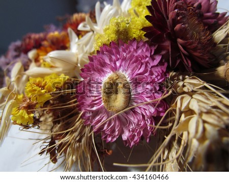 Abstract bouquet of dried flowers and poppies