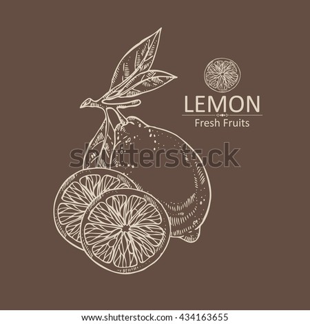 Background with lemon. hand drawn