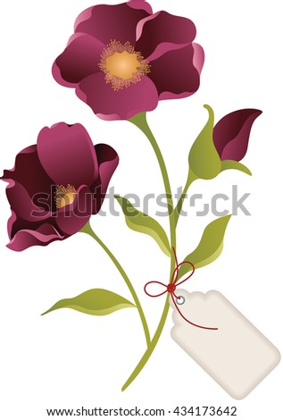 Flower with label tag
