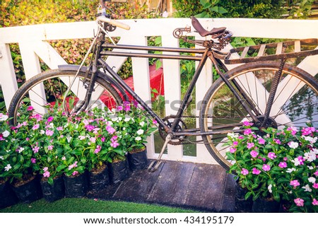 Old bicycle with flowers in garden, Vintage filter styles. Selective focus