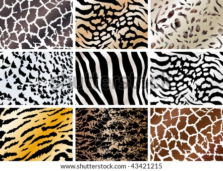 set of animals prints