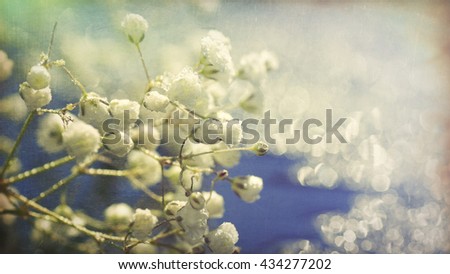 Digital art, effect textured, Dreamy Artistic white gypsophils flower, wedding, romantic                               