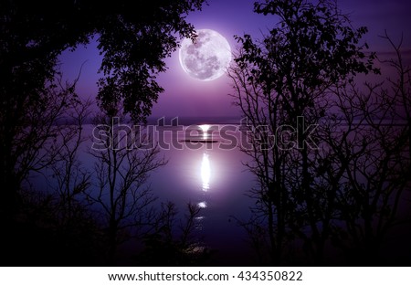 Tree against sky on tranquil lake. Silhouettes of woods and bright full moon would make a nice picture. Beauty of nature use as background. The moon taken with my own camera, no NASA images used.