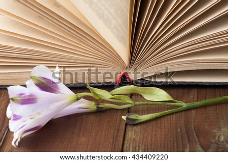 Open book and flowers on table. Back to school. Copy space