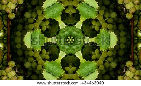 kaleidoscope fruit 
