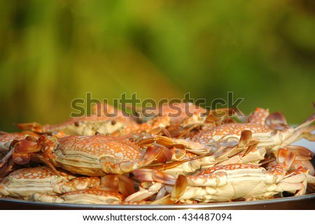 hot steamed Crabs
