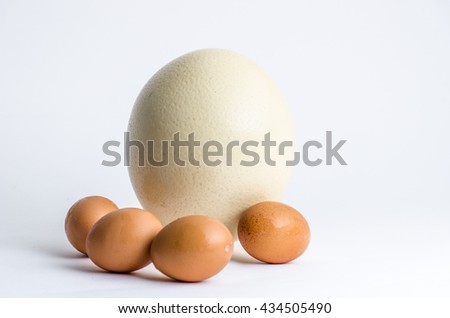 Ostrich eggs compare Hen chicken egg on white background