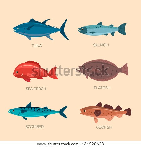 Set of sea fish: scomber, codfish, flatfish, sea perch, salmon, tuna. Fish vector set in flat style design. Ocean, sea fish icons collection isolated. Cute cartoon flat sea fishes.
