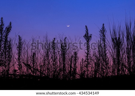Moonrise and Sunset 
