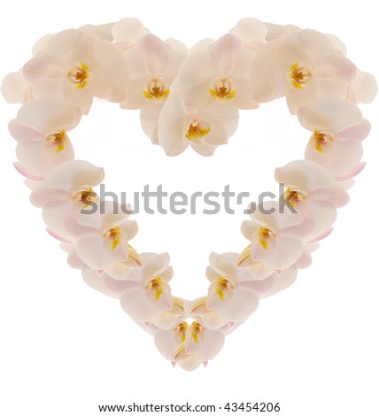 Heart made of orchidea. Isolated on white