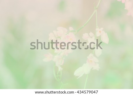 Soft blurred of flowers with soft bokeh in pastel tone for background.