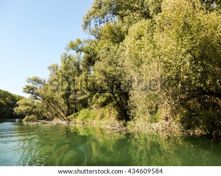 Photo Picture of Beautiful  Wild Brenta River in North Italy 