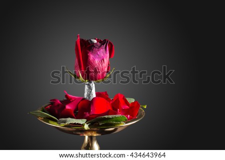 rose aroma hookah