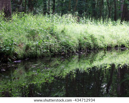 Water bank reflection