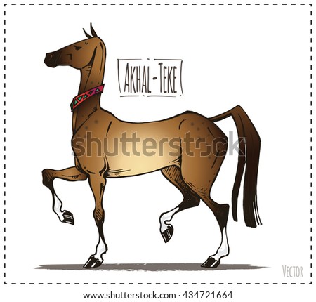 beautiful horse Akhal-Teke breed. freehand drawing. isolated vector. color and cartoon. for design of books and notebooks, horse races and clubs