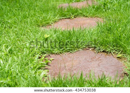 Green meadow divided by rough stone walkway,Stamped concrete.Selective focus.