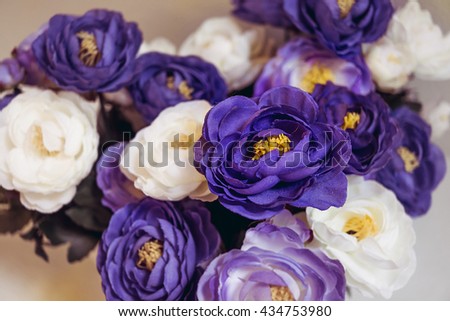 Close up purple and white CAMELLIA 