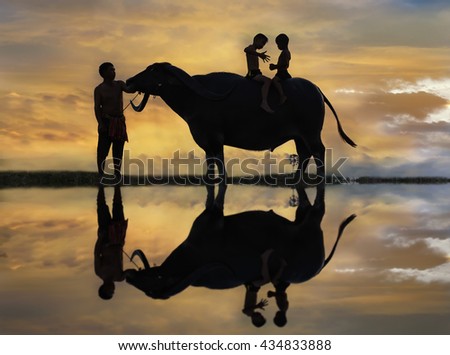 Silhouette children riding on a buffalo with father in twilight 