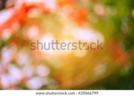 Warm yellow golden color tone blurred nature background. Abstract natural color background. Natural Bokeh