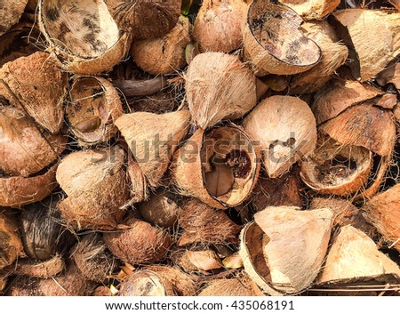 coconuts empty shell