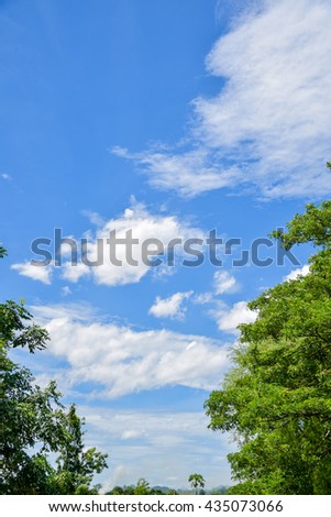 Green tree and beautiful sky with white clouds.
