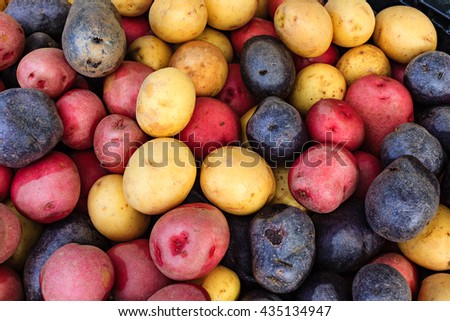 Colorful organic potatoes at a local farmers market.