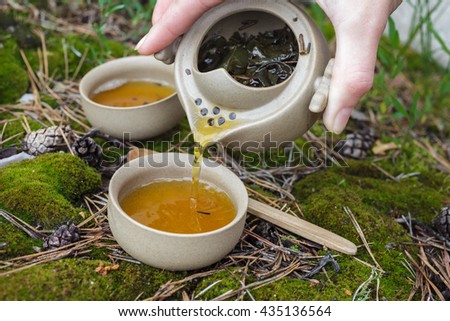 Tea set on the ground in the forest. Teapot and cups of Yixing clay. Royalty-Free Stock Photo #435136564