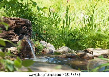Garden pond with rich source Royalty-Free Stock Photo #435156568