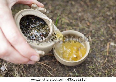 Tea set on the ground in the forest. Teapot and cups of Yixing clay. Royalty-Free Stock Photo #435158218