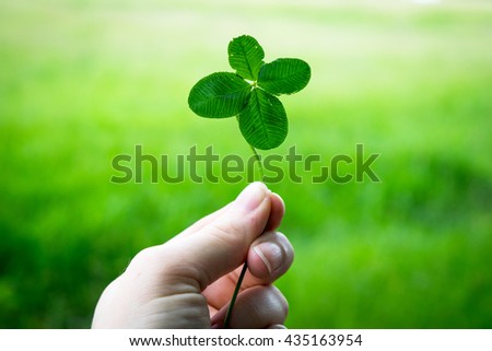 Four-leaf clover - Lucky clover  