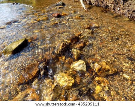 Creek in wild nature during sunny day